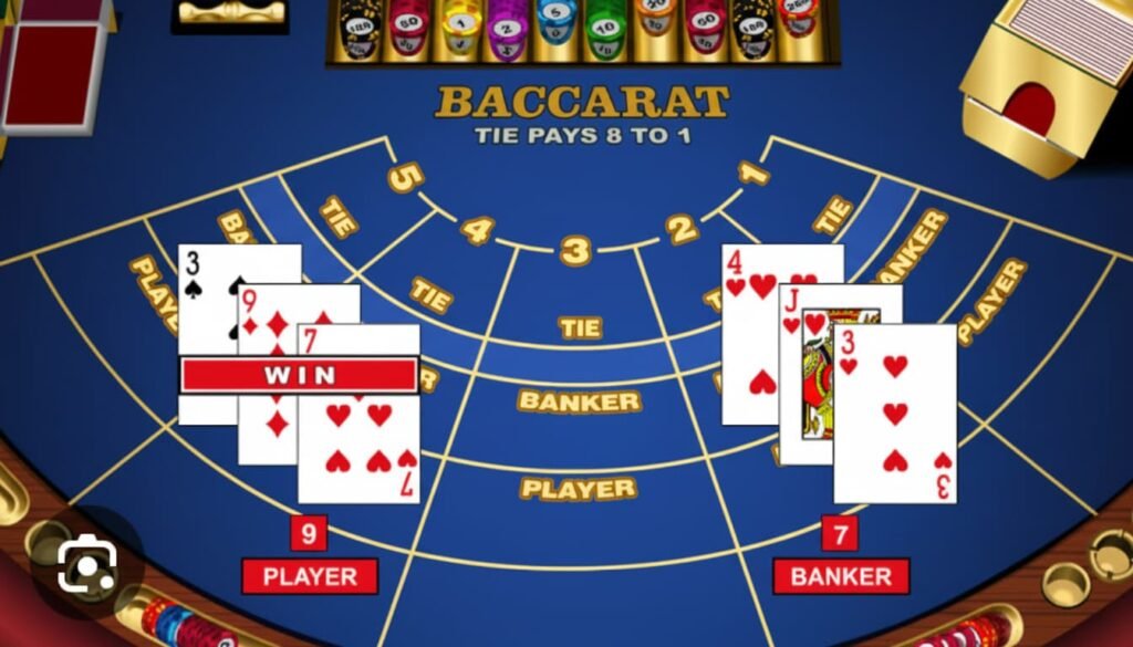 최신 라이브 바카라